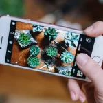 Como-identificar-plantas-con-la-camara-del-iPhone-Howpple-tutoriales-Apple
