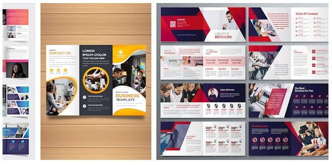 Brochure Maker, Pamphlets, Infographic Designer