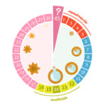 mi-calendario-menstrual-controla-tu-ciclo